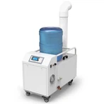 פטריות אדים